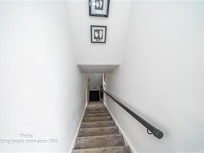 Picture 24